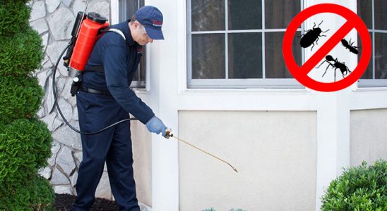 Akçakale Tahtakurusu İlaçlama böcek ilaçlama ve haşere kontrolü — ilaclama-tr.com